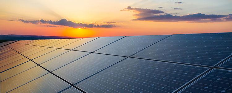 Trina solar panel for green energy.